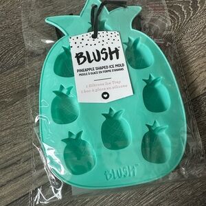 Blush Teal Pineapple Ice Tray